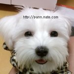 우리 귀염둥이 ~>.< 사진有