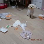 조사하면 <b>다나와</b>!