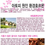 아토피 <b>원인</b> 환경호르몬