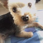 20女동거녀들덕에 매일웃습니다