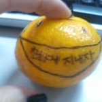 귤로<b>어택</b>했어요 사진有