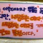 사랑하는 사람에게 져보셨나요?