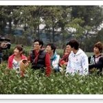제주도 <b>녹차</b>밭의 패밀리