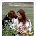 제주도 <b>한라</b> 설록원에 패밀리가 떴다