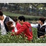 역시 열심히 일하는 <b>재석</b>이형!!