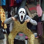 얼굴가리면<b>정신줄</b>놓는친구 사진有