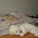 돼지우리방저리가라<b>식상</b>함사진有