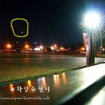 어제 <b>산책</b>갔다가 우연히 웃는얼굴(?)이 찍혔네요 ㅋ