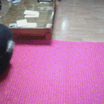 엄마가 자꾸 이상한 운동을 해요 사진有