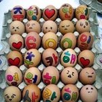 9,880원의 행복 (사진有)