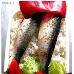 <b>그녀의</b> 다리는 맛있어....사진(有)