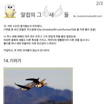 알집의 <b>새들</b>이 싸우면 누가 이길까? (알집의 <b>새들</b> 2부)