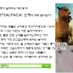 가장 쉽게 알려주는 패션 <b>용어</b>