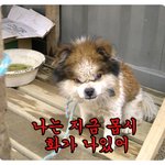 [펌]11번가 고객센터 상담원과 통화한 사연….