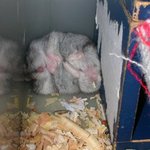 (고인의<b>명목</b>을)아내분이하늘나라로......