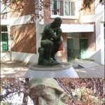 벌집<b>핏자</b>