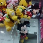 제 생명의 <b>은인</b>입니다. (실제사진有)