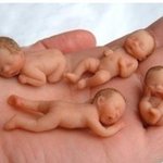 (크리스마스)에그녀에게줄..작은천사들(사진有)