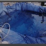 ★☆쌍둥이가 죽었어요. 도와주세요.☆★