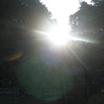 세포.오장육부.정신.생각.<b>사리분별</b>.이해득실.의사결정.행위