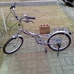 안장도둑의 <b>세심</b>한 배려