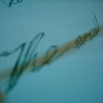 저 사진 실력좀 평가 해주세요 ^^