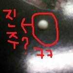 조개 구워먹다가 <b>진주</b>가 나왔어요ㅋㅋ(사진有)