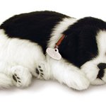 숨쉬는<b>인형</b>
