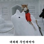 사타구니가...................<b>시립</b>니다.ㅠㅠㅠㅠㅠㅠㅠ