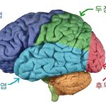 기독교에 빠진 사람들이 이상한 이유ㅋ
