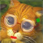 안경을 쓰면 눈이 튀어 나온다?
