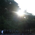 <b>의사결정</b>과 행위