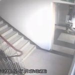 이 도둑놈들 좀 잡아주세요 t^t (사진有)