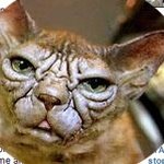 <b>우왕</b>~ 예수님 닮은 분을 봤어요 @.@;;