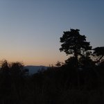 謹賀新年