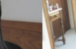 여자가 화장을 해야하는이유 사진有