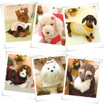 <강아지옷<b>diy</b>>강아지옷만들기02