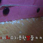 집에서 쫓겨날뻔햇어요 ㅠ.ㅠ