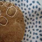 <b>백설</b>찹살호떡믹스에 살아있는 애벌레가..;;