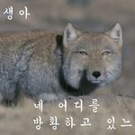 <b>중대장</b>급솔로 여친생기는거에 대한 내 생각은?
