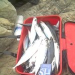 <b>밥들</b>먹엇뉘??