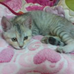 저의딸 루비에게 힘을 <b>주셈</b>!!!