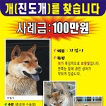 저를 찾아주세요..(자겸이 이야기)