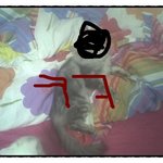 <b>종로</b>에서 슈퍼 주니어 만나다