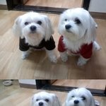 11년된 뺀찌,  7년된 처<b>저리</b>. 모녀