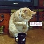 물은 손으로 먹어야 <b>제</b><b>맛</b> ㅋ