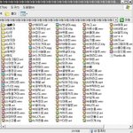 동생의 야동<b>파일</b>을 발견한 누나의 반응은??