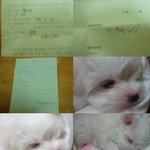 사람들이생명을죽였습니다.(사진有)