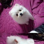 [사진有]하도 차이다 오덕이가된 여자