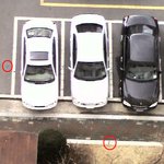 [사진有] 엄마가 <b>집</b> <b>밖</b>으로 내던진 것은?